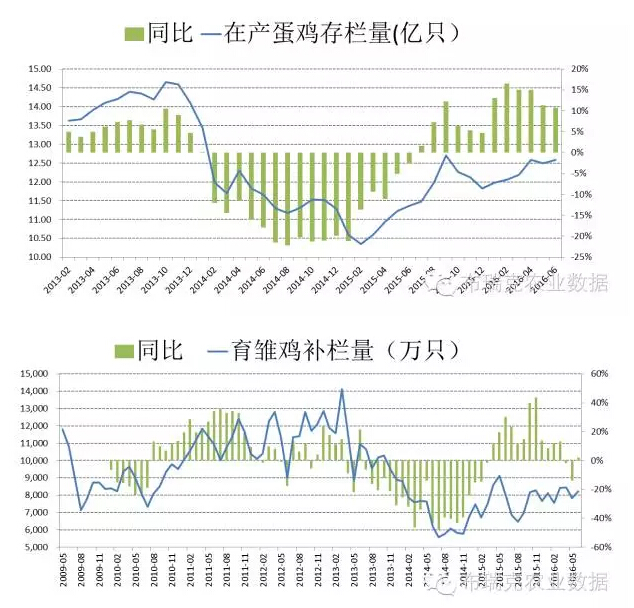 2016年下半年鸡蛋价格难出现单边强势上涨