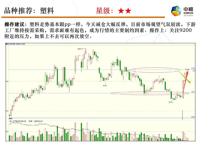 [云数据交易]7月29日交易策略