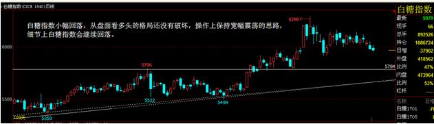 华信万达：0801-0805投顾团队交易内参