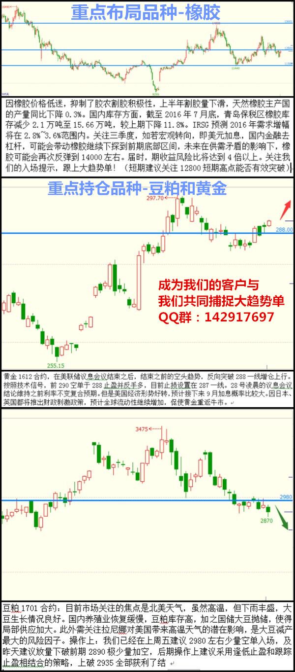 [团队推荐]更多操作建议