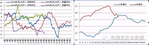 (美元/日元日线图 来源：环球外汇)