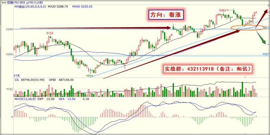 [云数据交易]8月15日交易策略