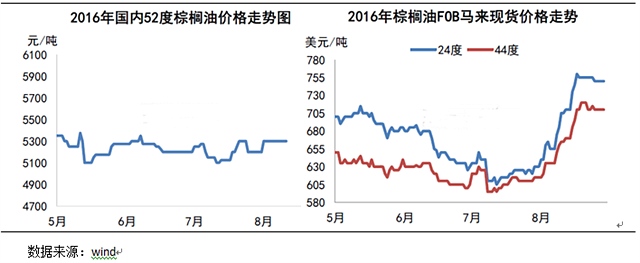 渤海期货2队：多空争夺，连棕震荡偏强